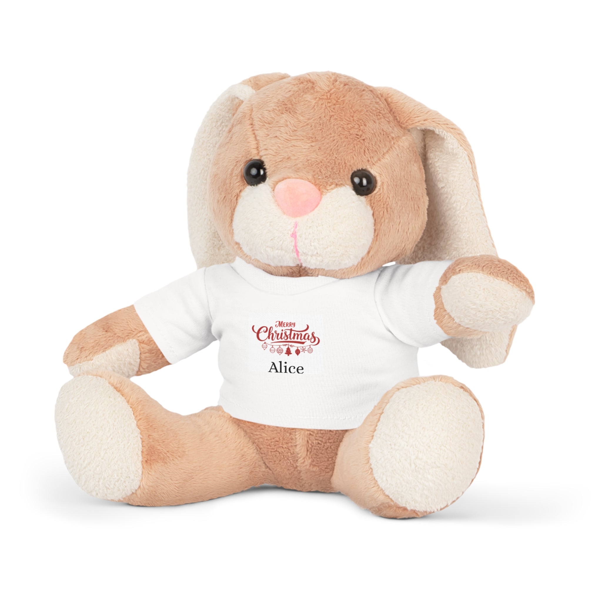 Personalized  Bear Plush